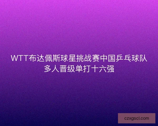WTT布达佩斯球星挑战赛中国乒乓球队多人晋级单打十六强