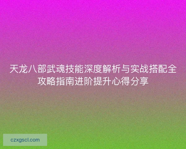 天龙八部武魂技能深度解析与实战搭配全攻略指南进阶提升心得分享